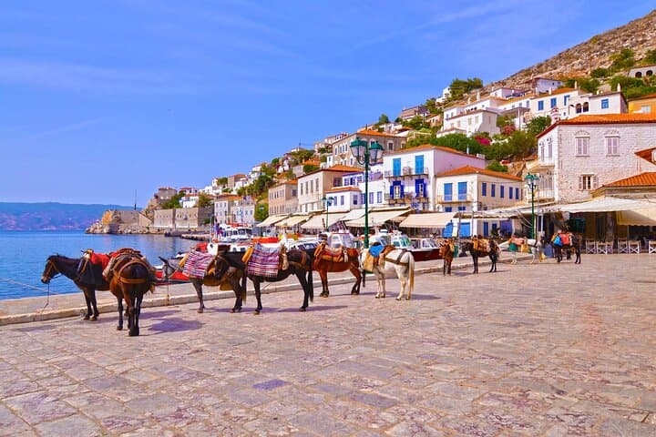 Self-Guided Day on Hydra: Ferry, Donkeys, and Cliffside Dips from Athens
