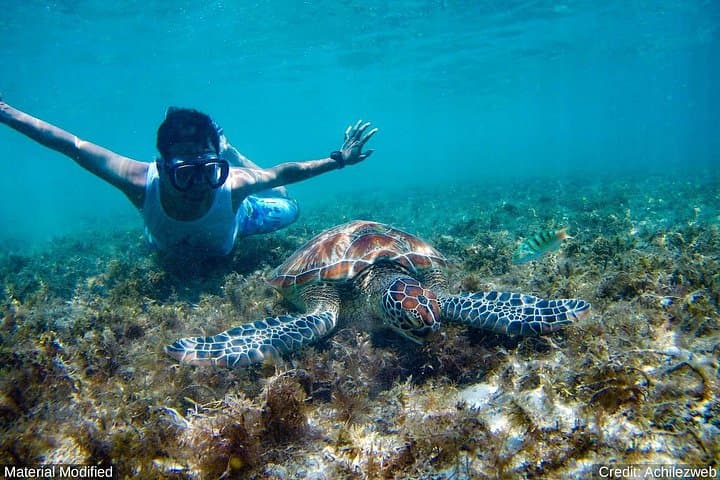 Seven-Day Cancun & Yucatán Adventure: Cenotes, Ruins, Isla Mujeres & Reef Snorkel photo 1