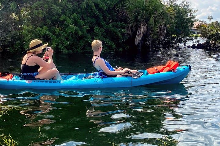 Full-Day Tandem Kayak Rental in Crystal River: Paddle with Manatees & Coastal Wildlife photo 3