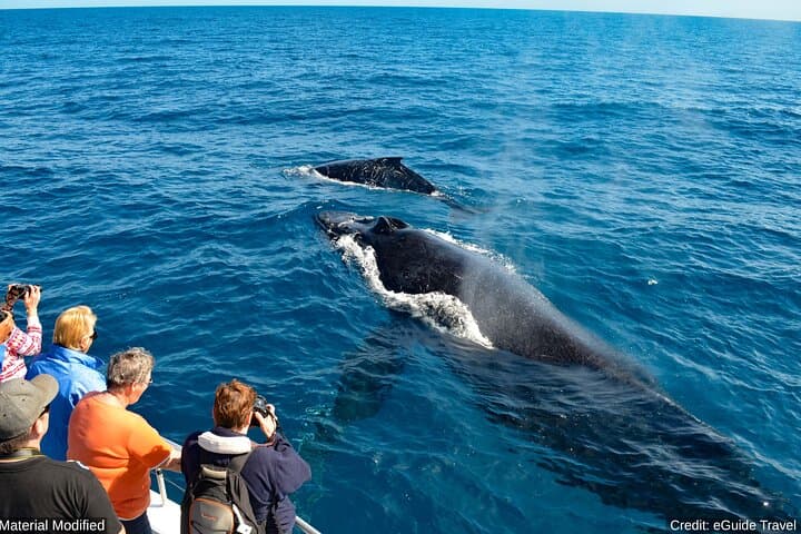 Sri Lanka in 10 Days: First-Class Cultural & Wildlife Circuit photo 6