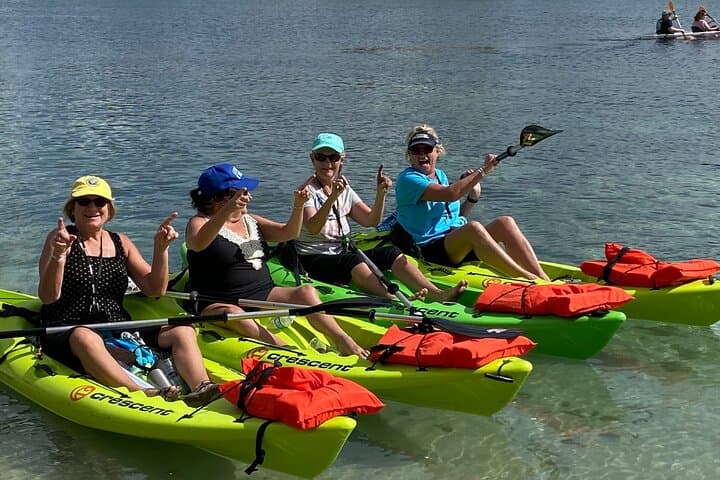 Crystal River Full-Day Kayak Rental & Manatee Viewing Guide photo 4