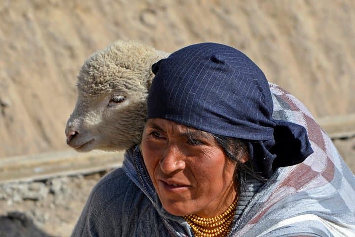 Cuenca to Quito: 4–5 Day Andes Tour — Chimborazo, Quilotoa, Baños & Cotopaxi photo 2