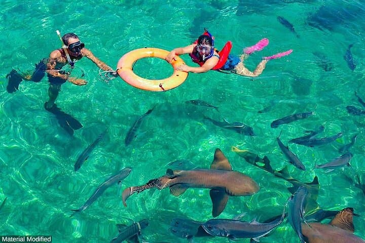 Belize in 10 Days: First-Class, Action-Packed Tour from Ambergris Caye to Caracol photo 5