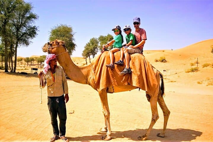 Golden Dunes 4x4 Desert Safari & BBQ from Ras al Khaimah photo 3