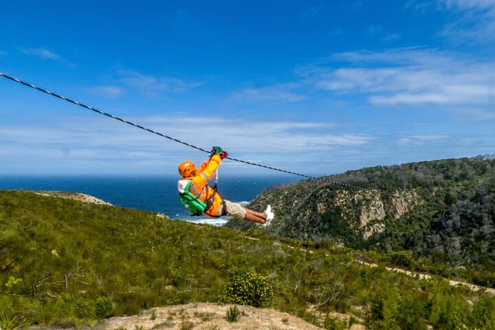 Knysna Ziplines: Harkerville's High-Octane Zipline Adventure on the Garden Route photo 4