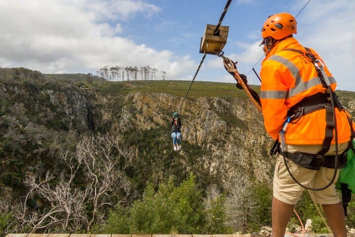 Knysna Ziplines: Harkerville's High-Octane Zipline Adventure on the Garden Route photo 6