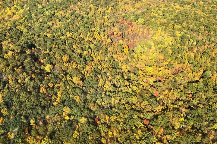 Hudson Valley Fall Foliage Helicopter Tour from Westchester photo 6