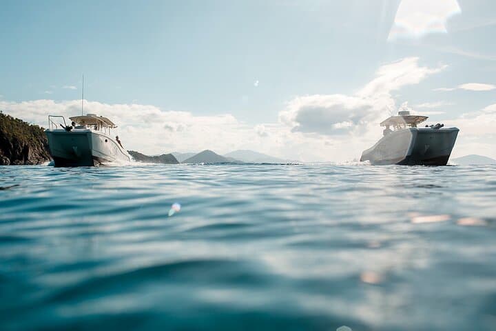 Private Full-Day Snorkel Charter in the US Virgin Islands — Lovango, Watermelon Cay & Lime Out photo 5