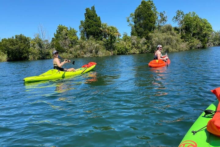 Crystal River Full-Day Kayak Rental & Manatee Viewing Guide