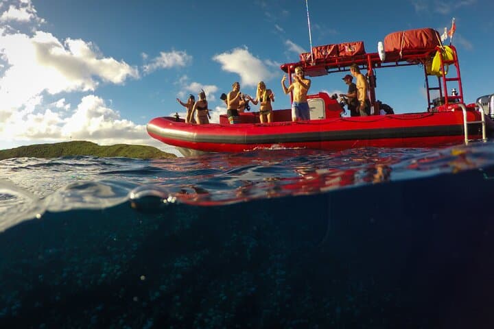 Molokini Crater Snorkel and Turtle Town Adventure from Kihei photo 5