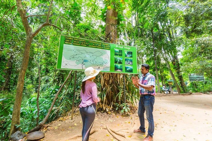 Udawatte Kele Birding and Forest Walk from Negombo