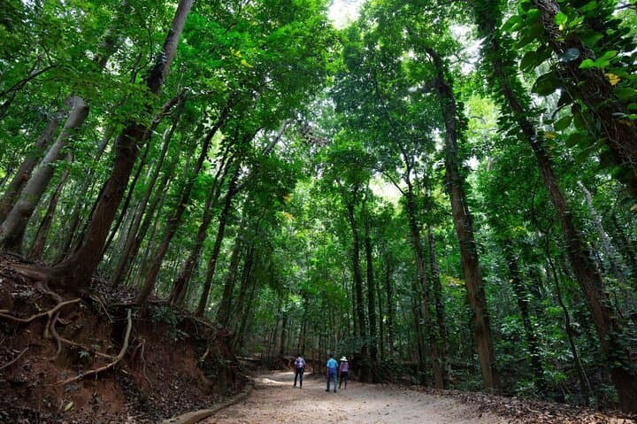 Udawatte Kele Birding and Forest Walk from Negombo photo 6