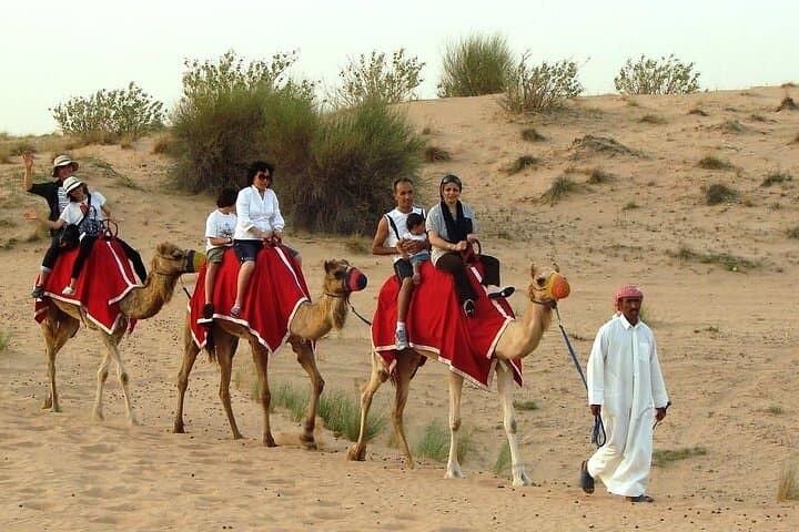 Dubai Evening Desert Safari: Dune Bashing, Camel Rides & BBQ at Sunset photo 3