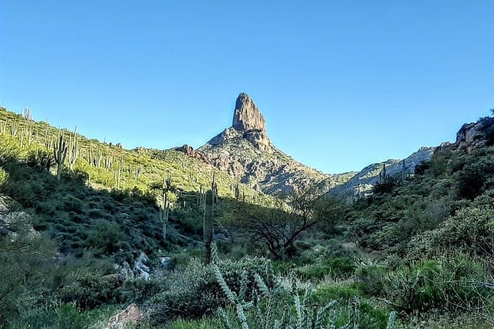 Superstition Mountains Wilderness Hiking Tours from Scottsdale photo 4