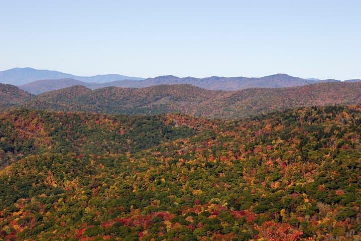 Blue Ridge Parkway Scenic Driving Tour from Asheville — Views, Hikes, and Naturalist Guide photo 4