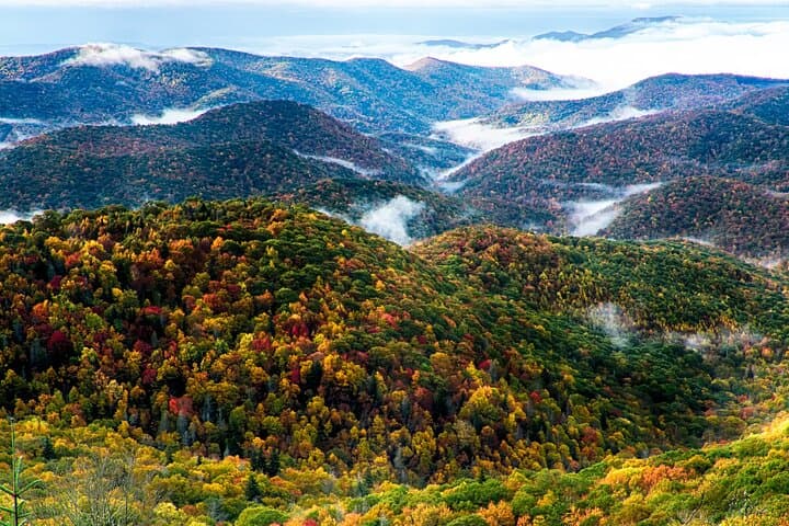 Blue Ridge Parkway Scenic Driving Tour from Asheville — Views, Hikes, and Naturalist Guide photo 5