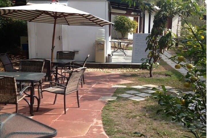 Full-Day Gnostic Center Retreat Near Delhi: Yoga, Meditation & Stud Farm Visit photo 6