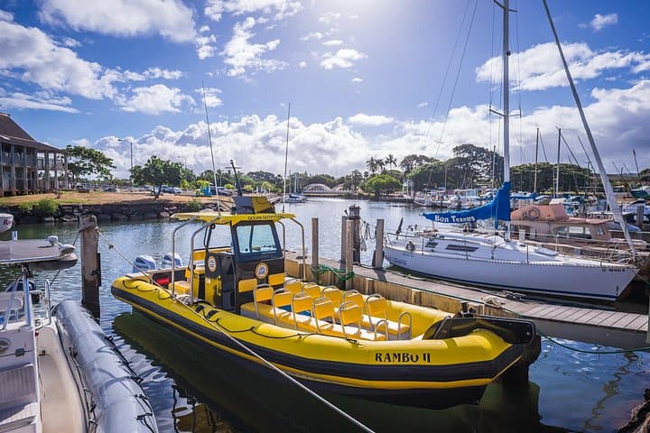 Private Boat Charter on Oahu’s North Shore: Snorkel, Wildlife & Sunset Cruises photo 3