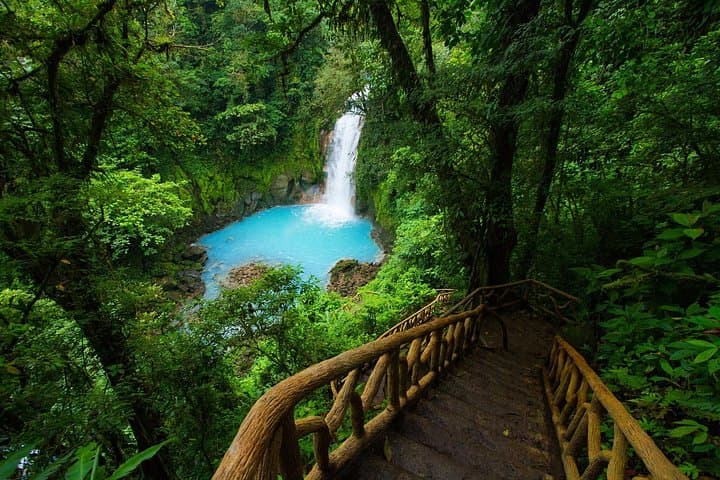 La Paz Waterfalls & Wildlife Trails: Half-Day Rainforest Walk from San José photo 5