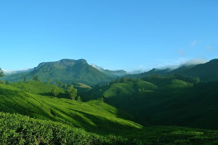 Full-Day Munnar Tea Country Tour: Mattupetty, Top Station & Kurinjimala Sanctuary photo 3
