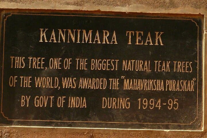 Full-Day Munnar Tea Country Tour: Mattupetty, Top Station & Kurinjimala Sanctuary photo 6