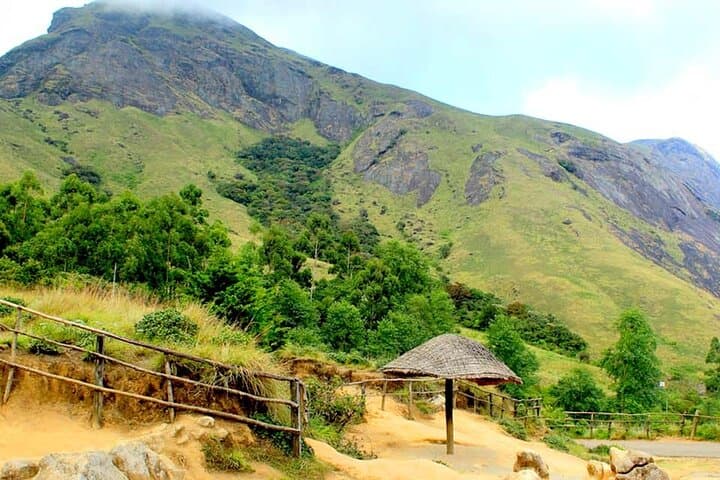 Full-Day Trekking in Munnar: Tea Estates, Anamudi Views & Spice Trails photo 3