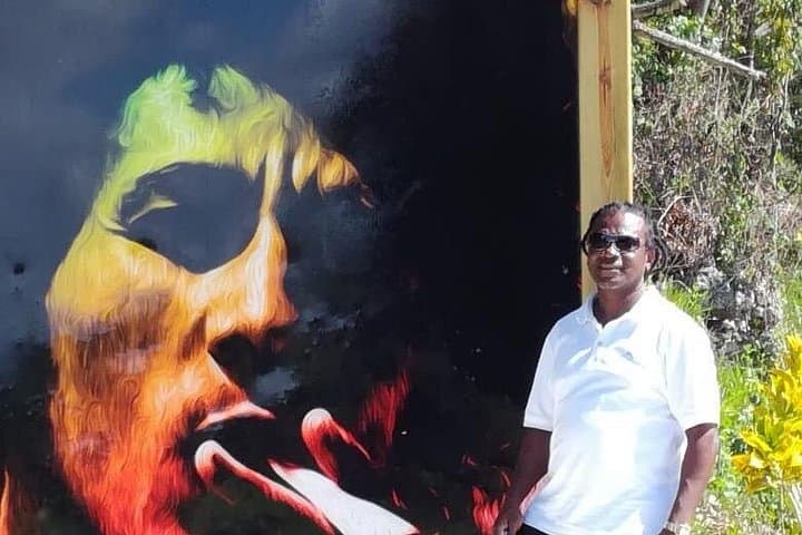 Bob Marley Nine Mile and Dunn's River Falls Day Tour from Ocho Rios photo 1