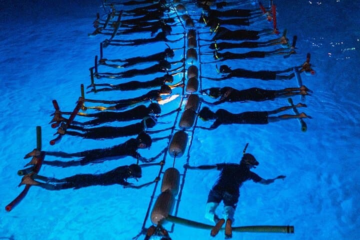 Night Snorkel at Manta Ray Village: Guaranteed Kona Manta Experience photo 3