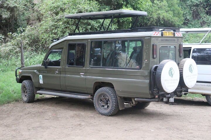 3-Day Masai Mara Luxury Safari: Big Five, Wildebeest Migration & Open-Roof Game Drives photo 3