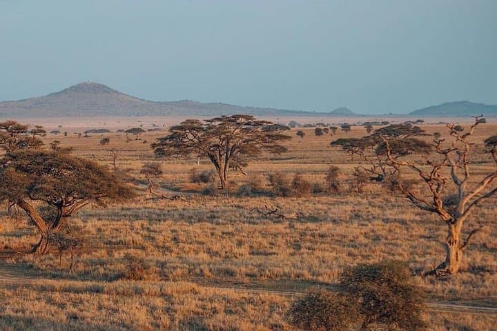 5-Day Private Safari: Tarangire, Serengeti & Ngorongoro Crater photo 4