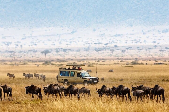4-Day Sharing Safari: Tarangire, Serengeti & Ngorongoro Crater photo 2