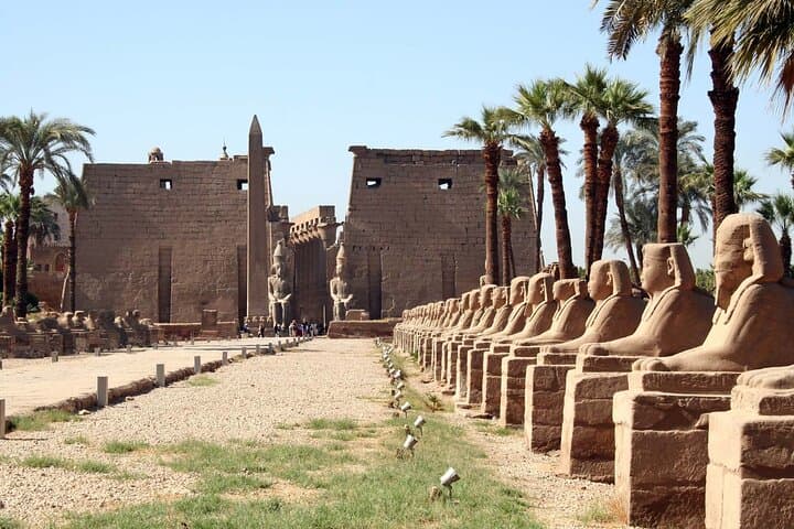 Nile Cruise From Aswan to Luxor: Abu Simbel, Hot-Air Balloon & Temple Highlights photo 5
