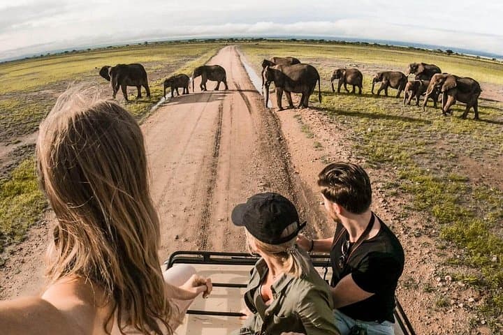 4-Day Sharing Safari: Tarangire, Serengeti & Ngorongoro Crater photo 1