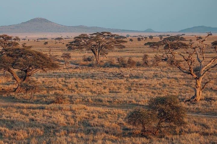 4-Day Sharing Safari: Tarangire, Serengeti & Ngorongoro Crater photo 4