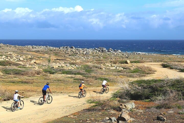 Mountain Biking Aruba: Private 2-Hour Cactus Coast Tour