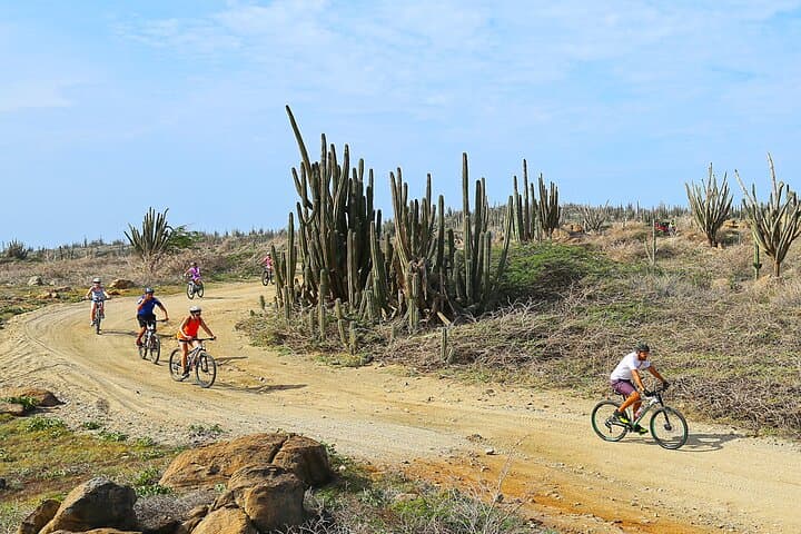 Mountain Biking Aruba: Private 2-Hour Cactus Coast Tour photo 3