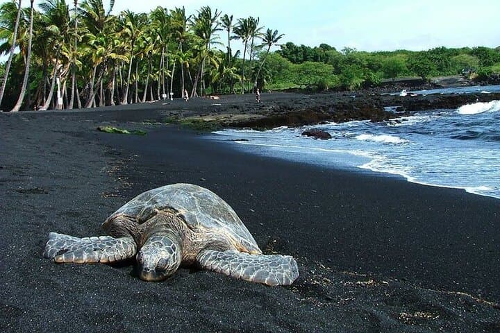 Private Big Island Volcano & Coast Tour — Mauna Kea, Volcanoes NP & Punaluʻu photo 6