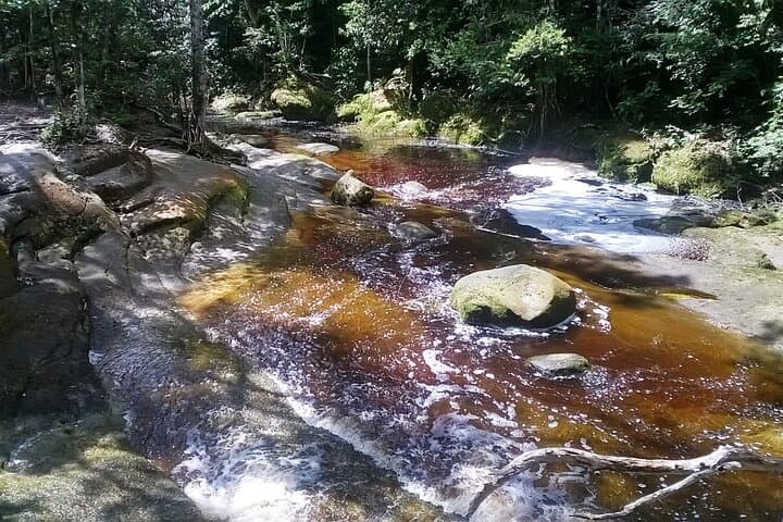 Amazon Jungle Walk to Maroaga & Iracema Caves and Waterfalls — Private Day Tour from Manaus photo 2