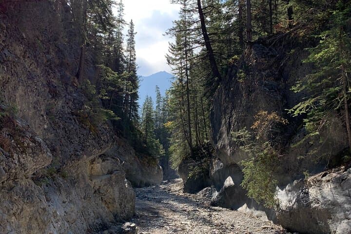 Canmore Grotto Canyon Hike: Canyons & Cave Paintings 2.5‑Hour Guided Experience photo 6