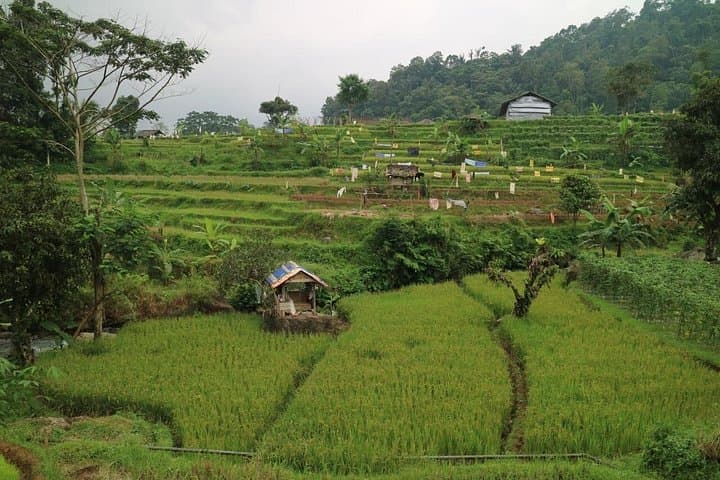 Cibareubeuy Waterfall Hike — Full-Day Countryside Tour from Bandung photo 4