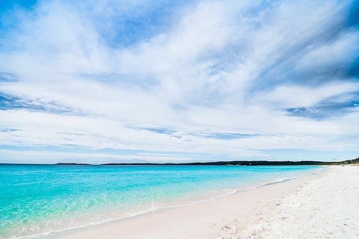 Jervis Bay Day Trip: Dolphins, Kangaroos & Hyams Beach photo 3