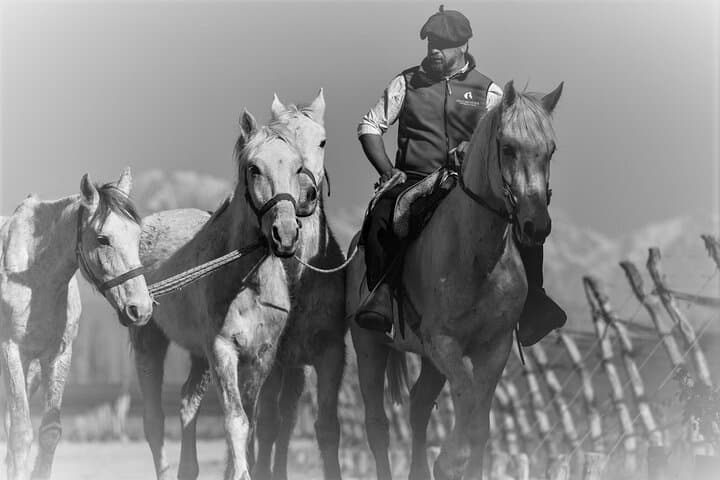 Horseback Through Mendoza Vineyards: Winery Ride, Tasting & BBQ