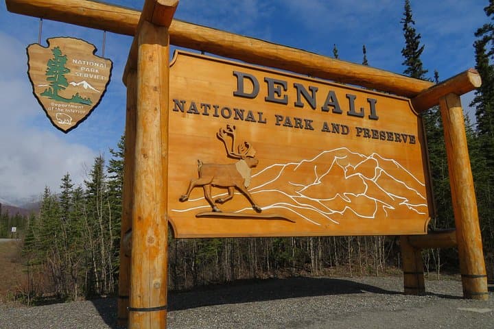 Denali Winter Drive from Fairbanks: 10-Hour Guided Park Tour & Snowshoe photo 1