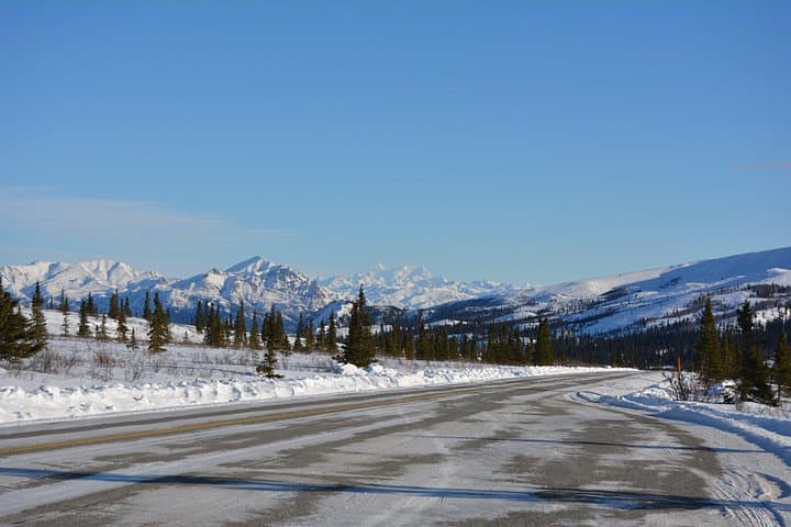 Denali Winter Drive from Fairbanks: 10-Hour Guided Park Tour & Snowshoe photo 4