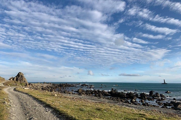 Seal Coast Safari: 4WD Access to Wellington’s Secret Coast and Fur Seals photo 4