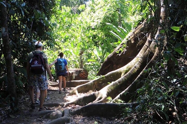 Sirena Station Corcovado: 2-Night Jungle Trek From Puerto Jiménez photo 5