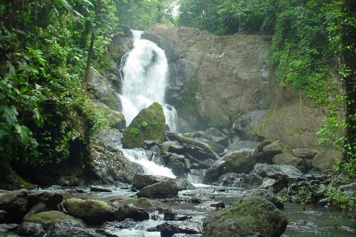 Sirena Station Corcovado: 2-Night Jungle Trek From Puerto Jiménez photo 6