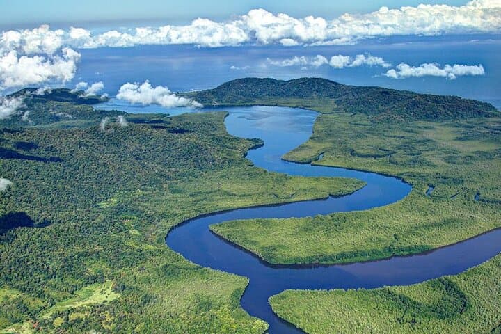 Drake Bay & Corcovado: 2-Night Wildlife Immersion on Costa Rica's Osa Peninsula photo 5