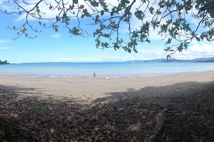 Drake Bay & Corcovado: 2-Night Wildlife Immersion on Costa Rica's Osa Peninsula