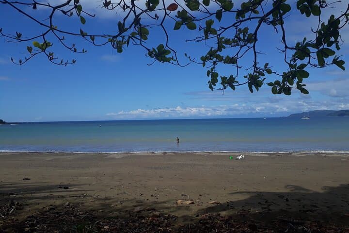 Drake Bay & Corcovado: 2-Night Wildlife Immersion on Costa Rica's Osa Peninsula photo 6